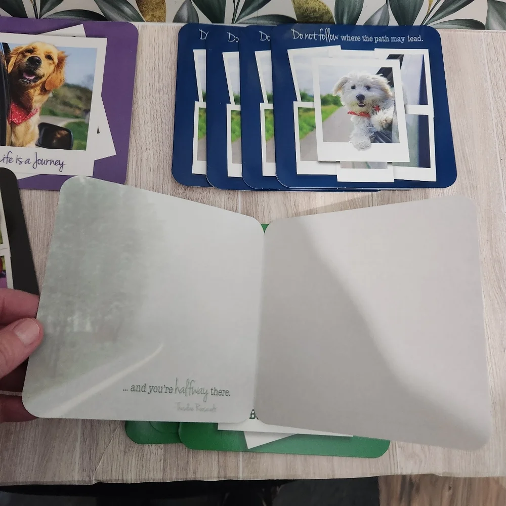Driftwood Stationary Dog Card Set Beagle Shepherd Golden Retriever Bichon Unwrap